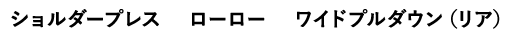ショルダープレス ローロー ワイドプルダウン(リア)