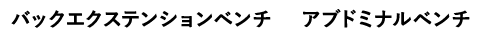 バックエクステンションベンチ アブドミナルベンチ